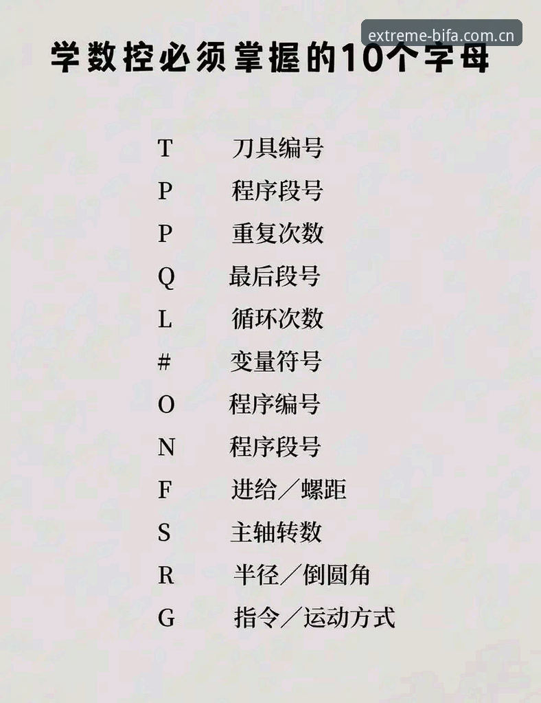 必发体验官网下载全攻略：从入门到精通的操作详解